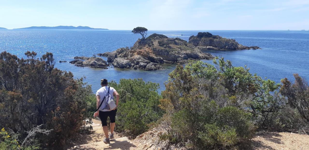 Roulotte Fenouillet Hotel Hyeres Bagian luar foto