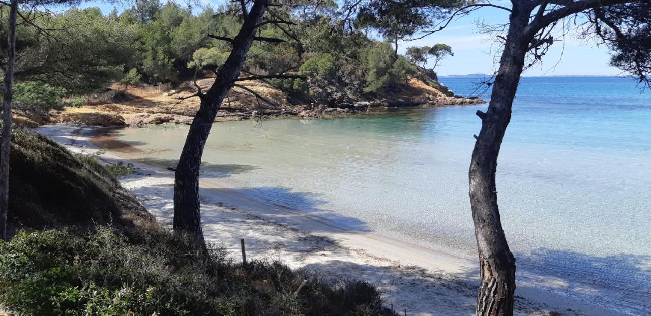 Roulotte Fenouillet Hotel Hyeres Bagian luar foto